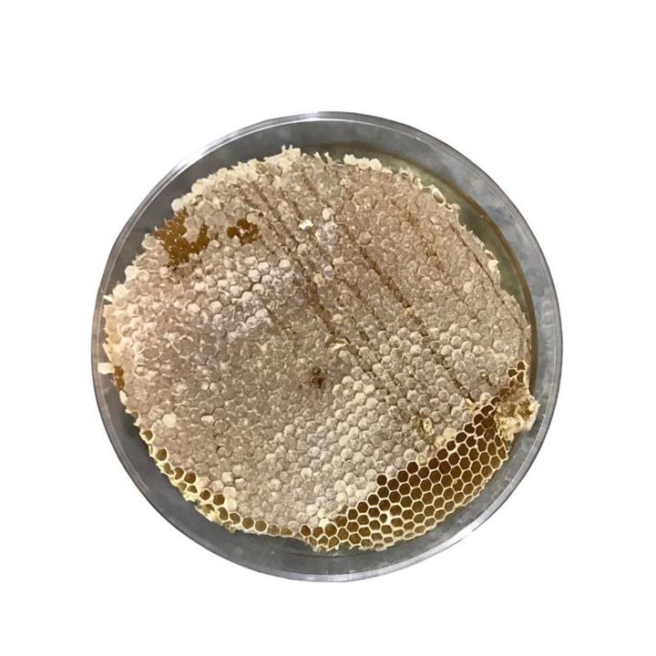 عسل ارگانیک ممتاز آذربایجان - 980 گرم